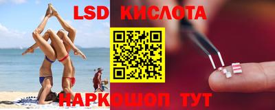 крисы Новодвинск