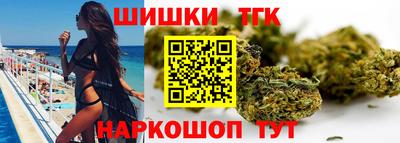 крисы Новодвинск