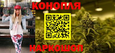 крисы Новодвинск