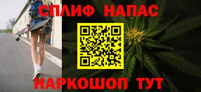 крисы Новодвинск