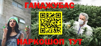 крисы Новодвинск