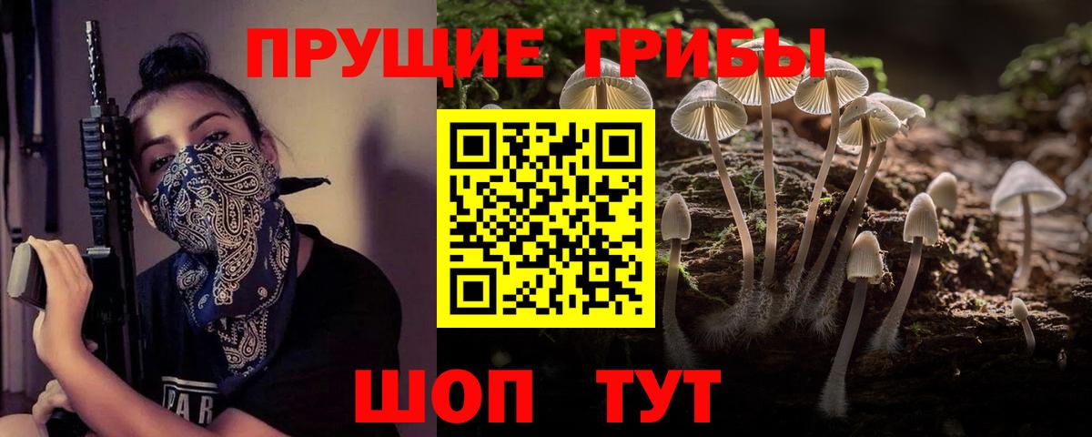 где купить наркотик  Вход с VPN  Серпухов  Псилоцибиновые грибы мухоморы  Галлюциногенные грибы прущие грибы 